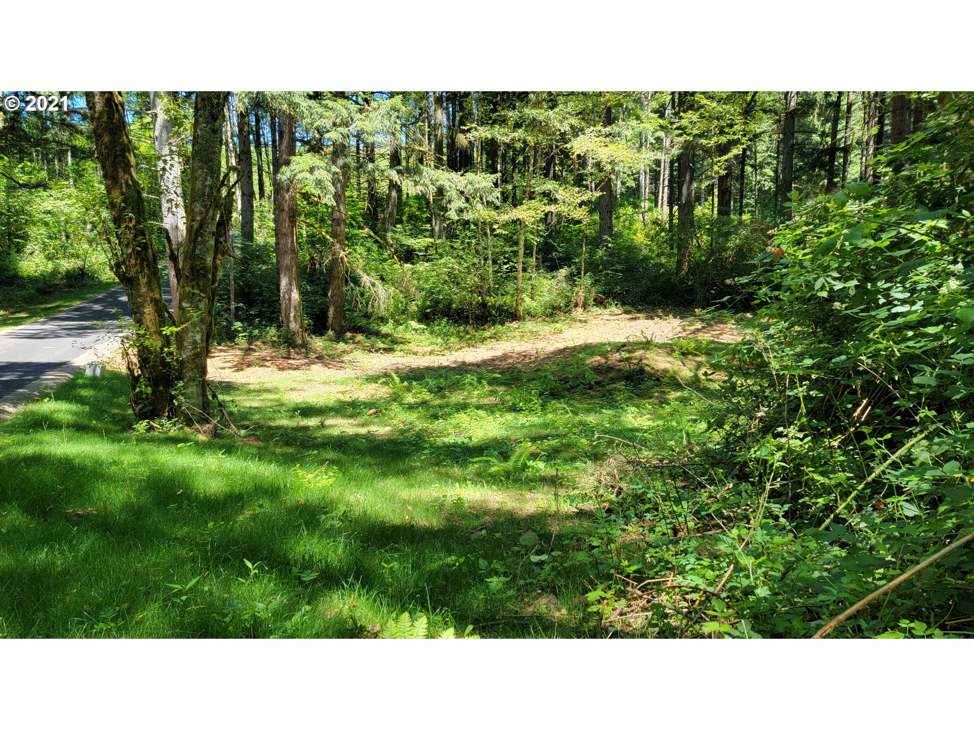 4 Northeast 65th Street Camas, WA 98607 - Photo 3 of 22