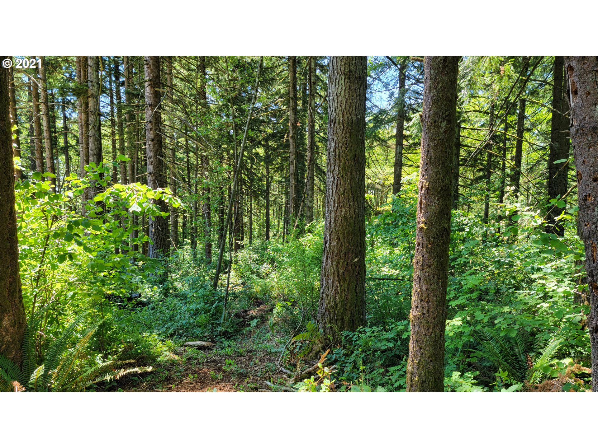 4 Northeast 65th Street Camas, WA 98607 - Photo 4 of 22