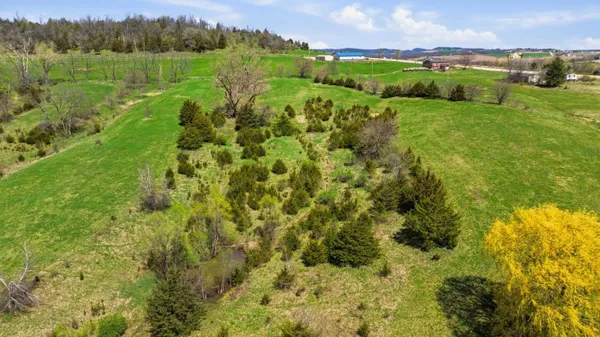 a view of a lush green outdoor space with a lake view
