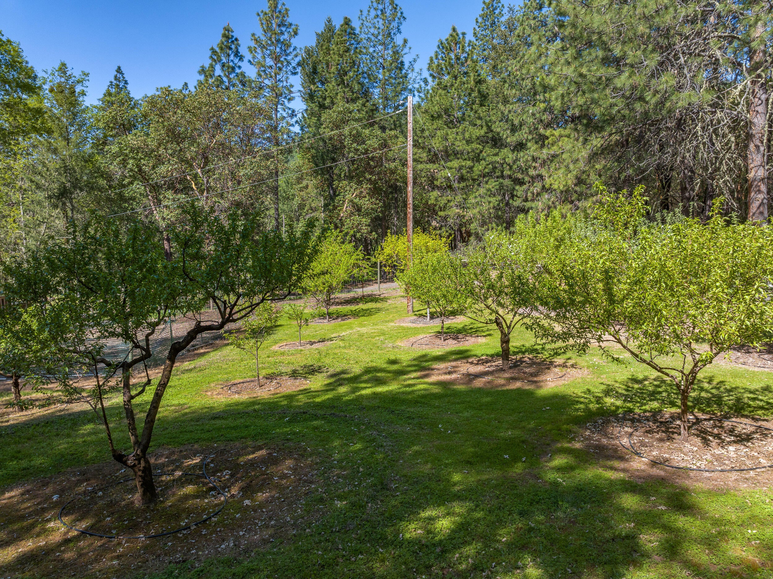 10920 Ramsey Road Gold Hill, OR 97525 - Photo 55 of 61 10920RamseyRd-055