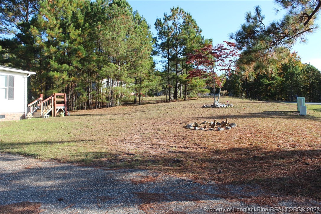 160 Kathleen Road Lillington, NC 27546 - Photo 3 of 5 a view of a yard with trees