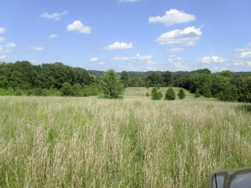 Lot 2 Harrison Ferry Road Baneberry, TN 37890 - Photo 3 of 15 Additional Photo