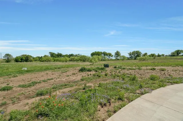 a view of a green field with lots of green space