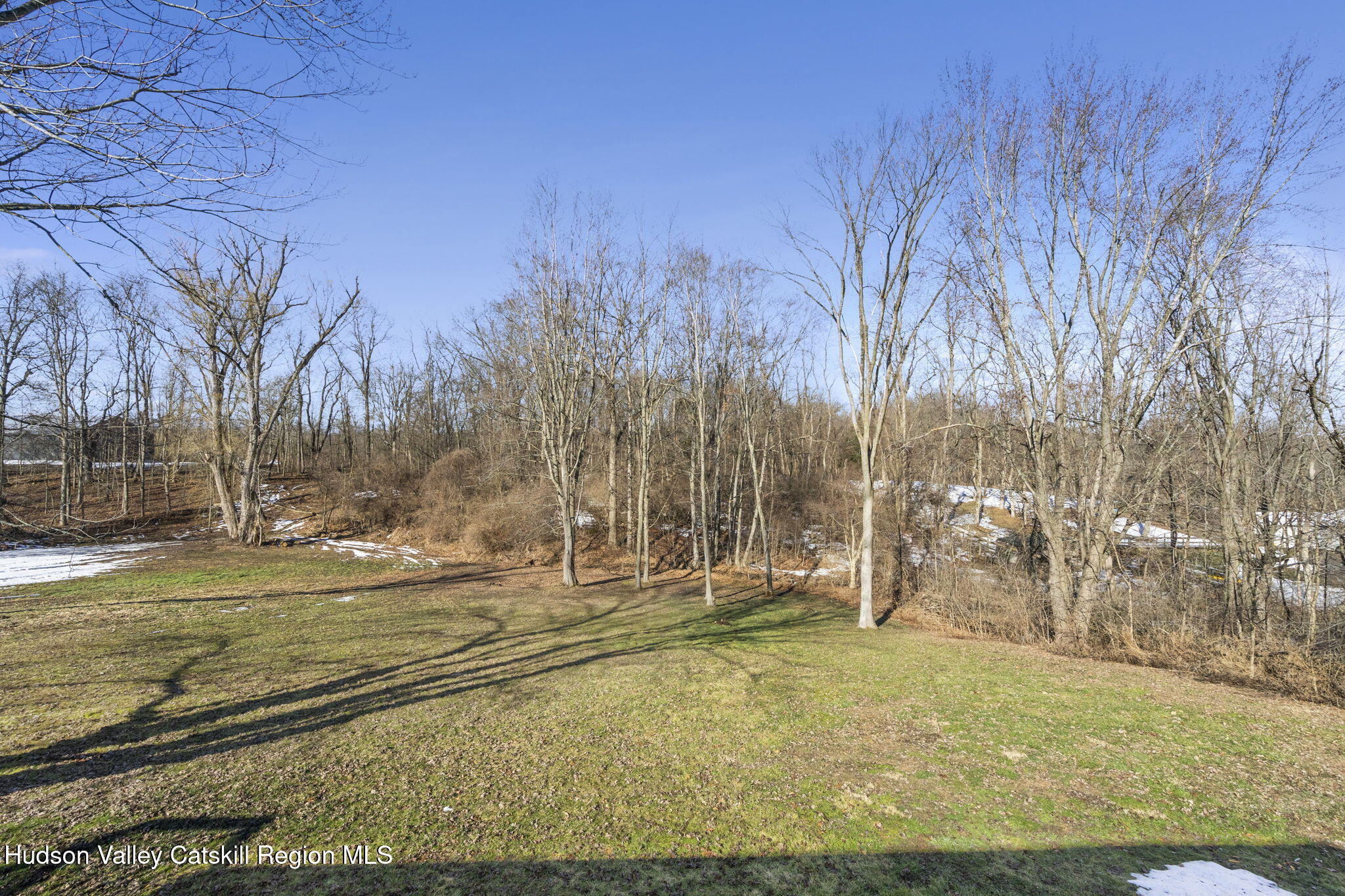 437 Sharptown Road Stuyvesant, NY 12173 - Photo 33 of 39 a view of a yard with large trees