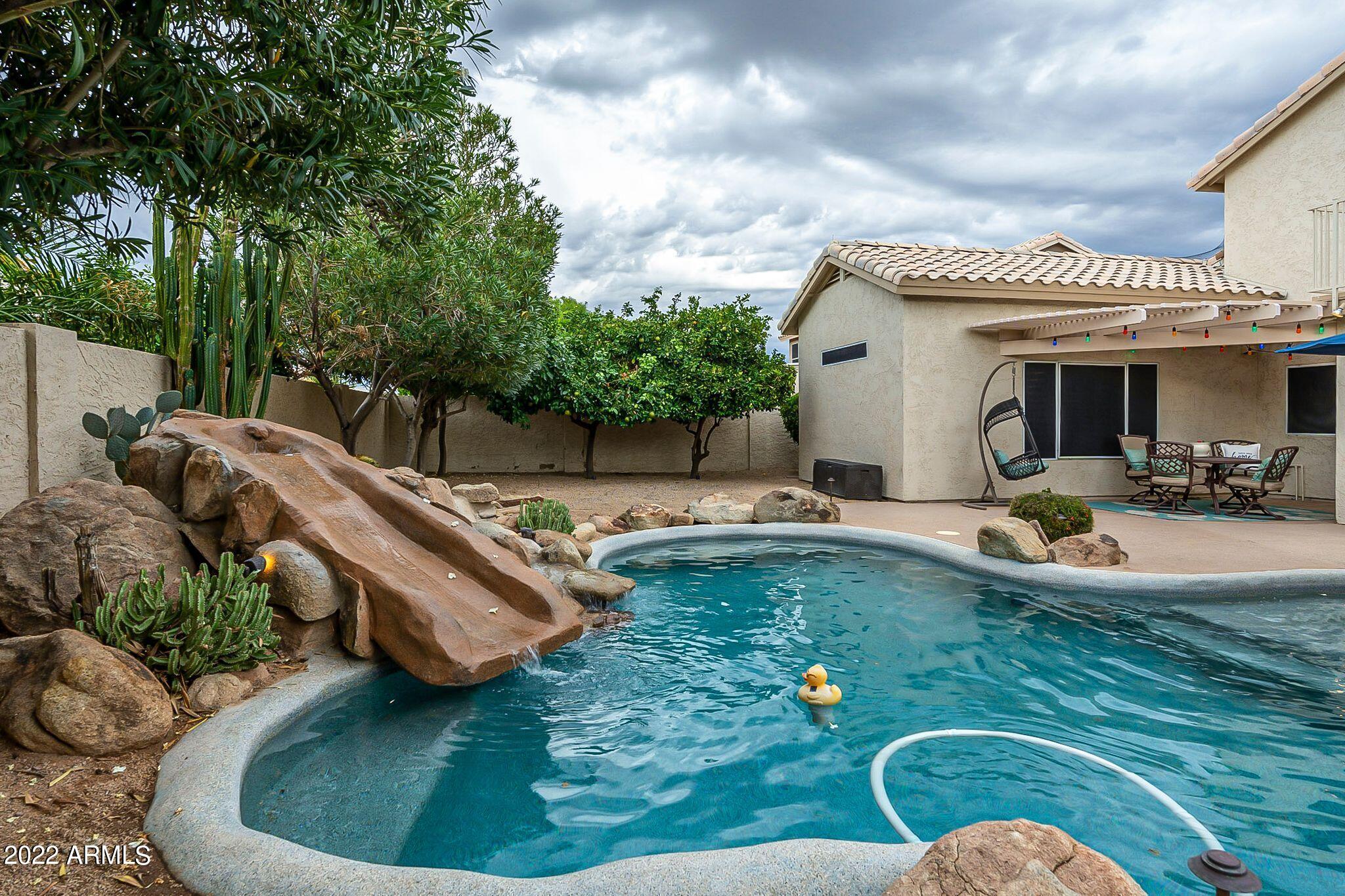 3425 East Clark Road Phoenix, AZ 85050 - Photo 59 of 59 Pool + Citrus Trees View