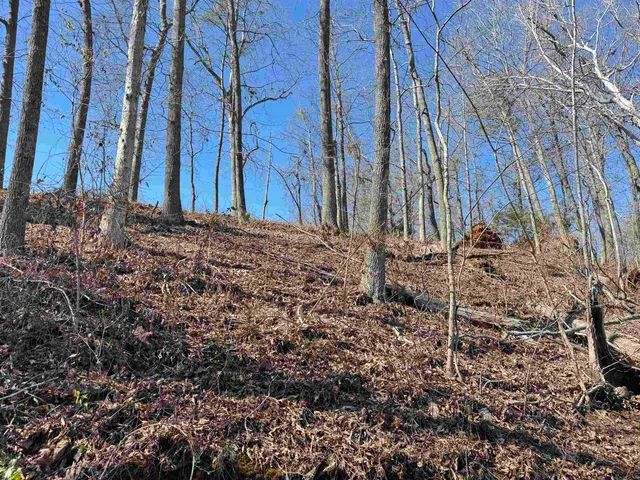 $198,900 | 712 Buck Creek Road, Chesnee, SC 29323