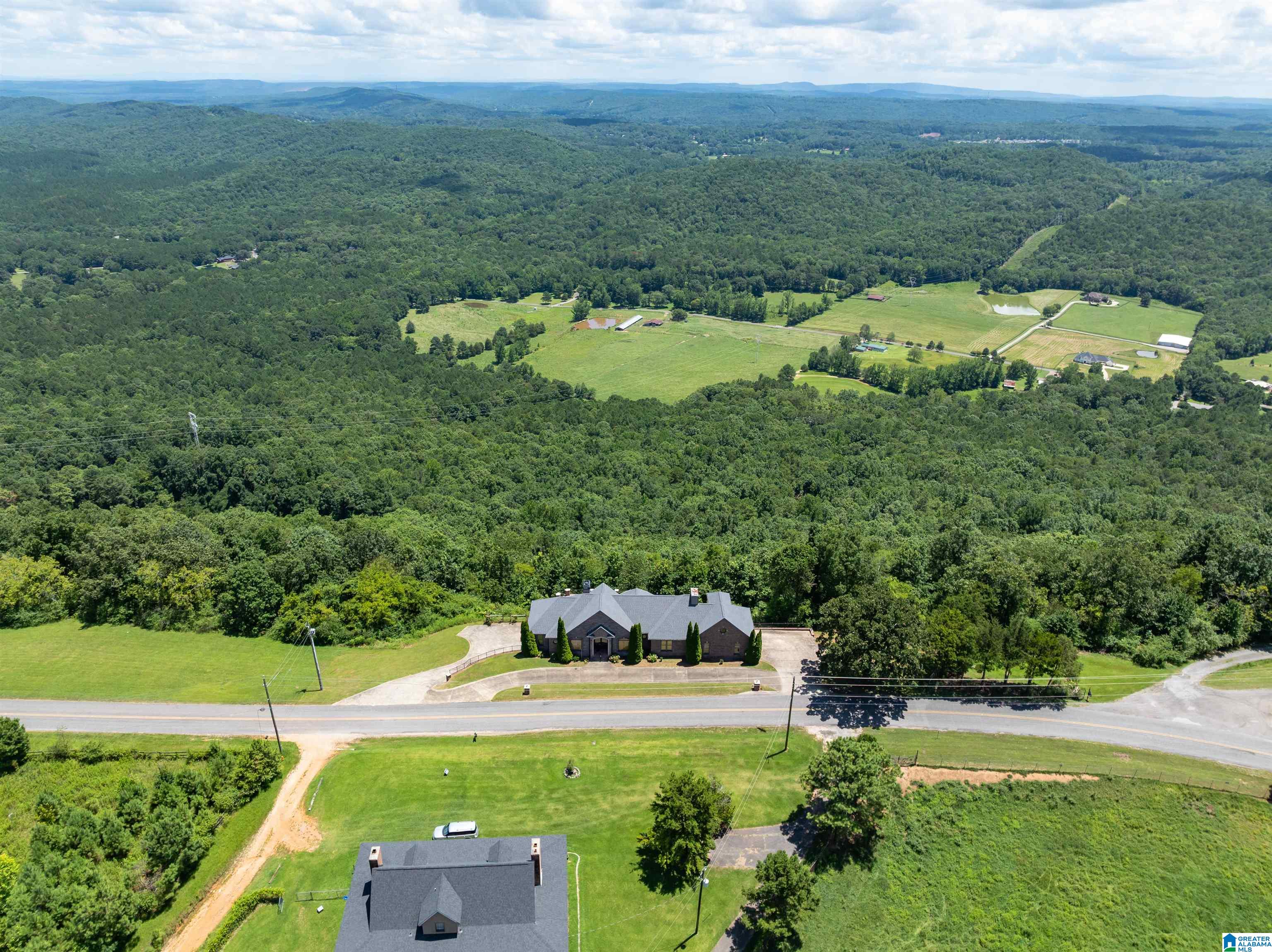 8378 Pine Mountain Road Springville, AL 35146 - Photo 3 of 59