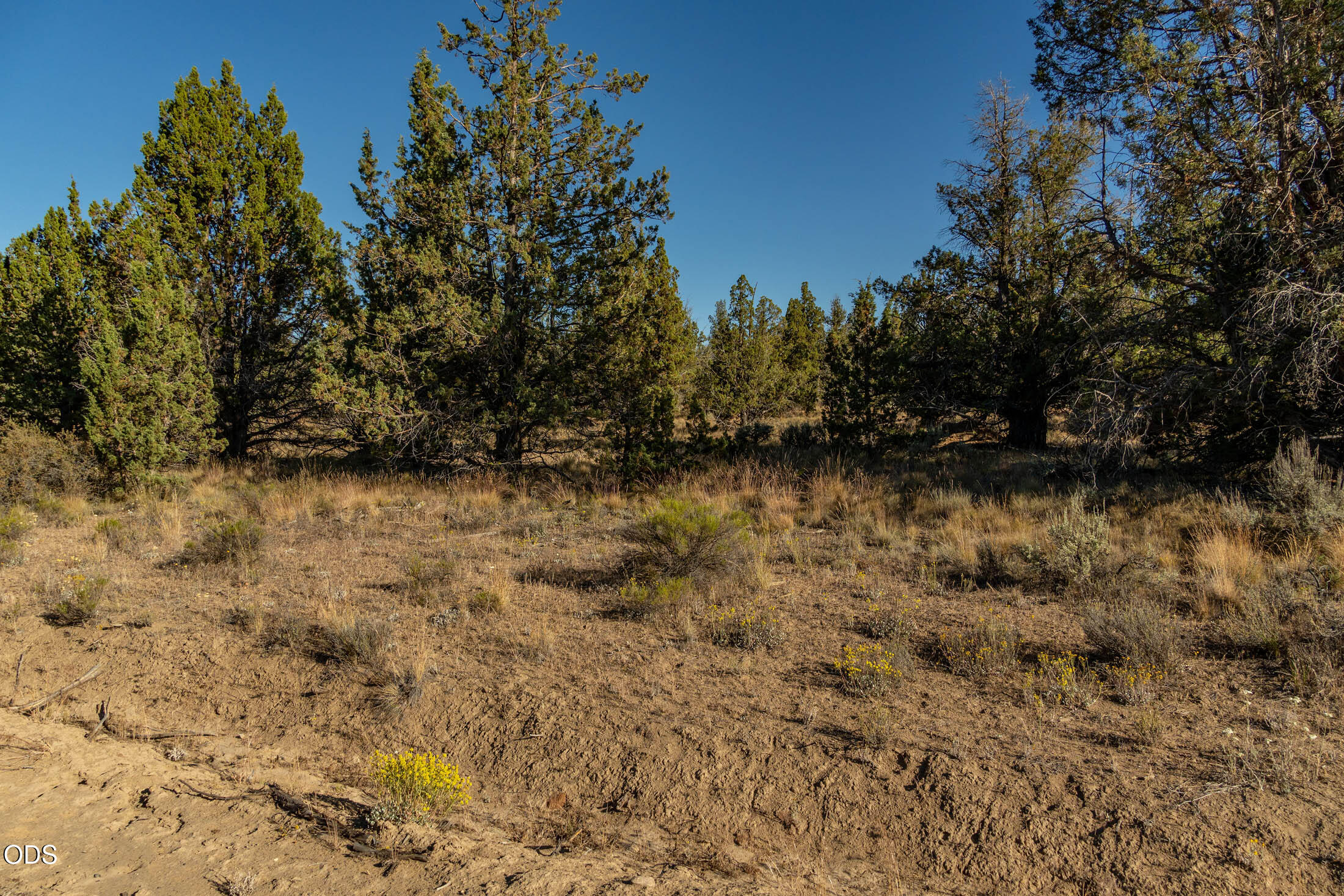 Southeast Zuni Road Prineville, OR 97754 - Photo 8 of 20