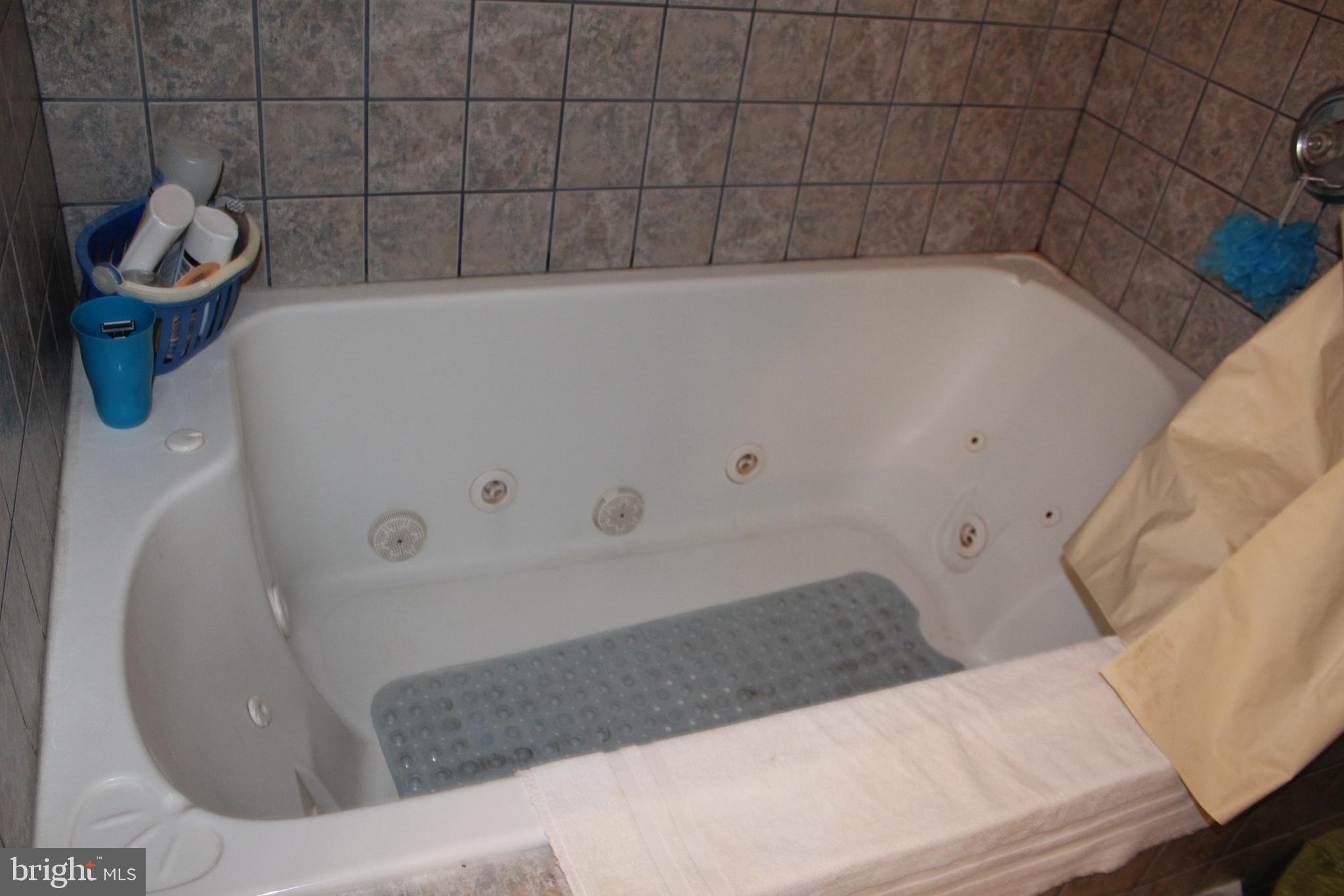 17 Angola Road New Castle, DE 19720 - Photo 15 of 28 Main bathroom