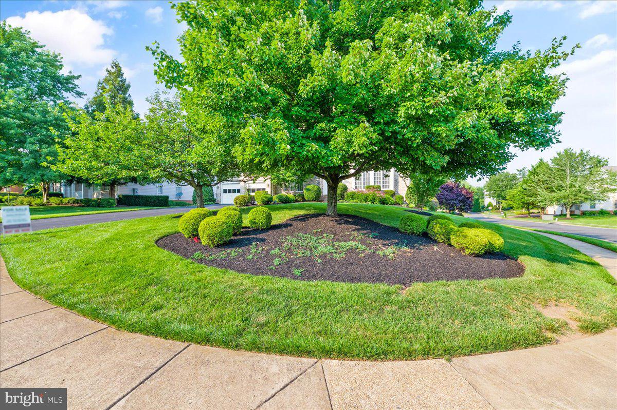 8233 Roxborough Loop Gainesville, VA 20155 - Photo 56 of 74 Gallery Image 56