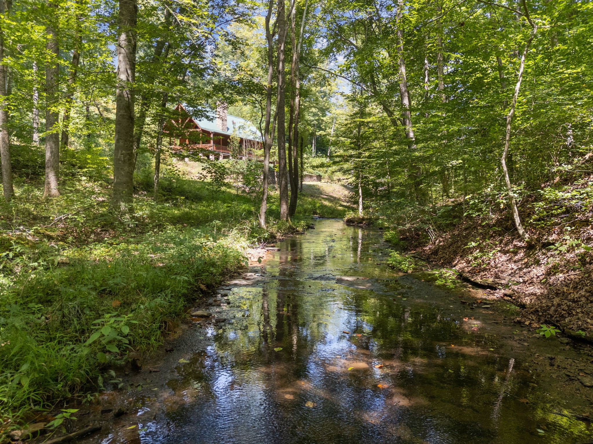 5755 North Lick Creek Road Franklin, TN 37064 - Photo 3 of 59
