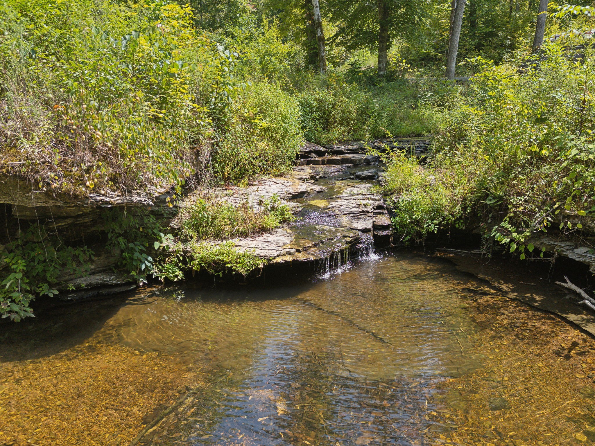 5755 North Lick Creek Road Franklin, TN 37064 - Photo 36 of 59