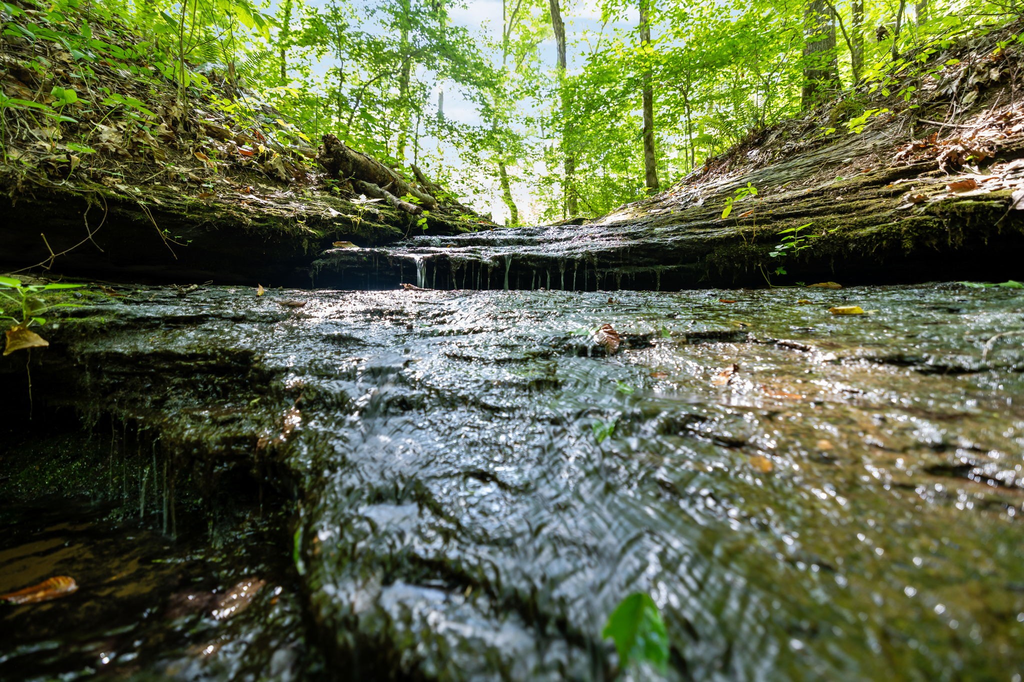 5755 North Lick Creek Road Franklin, TN 37064 - Photo 38 of 59
