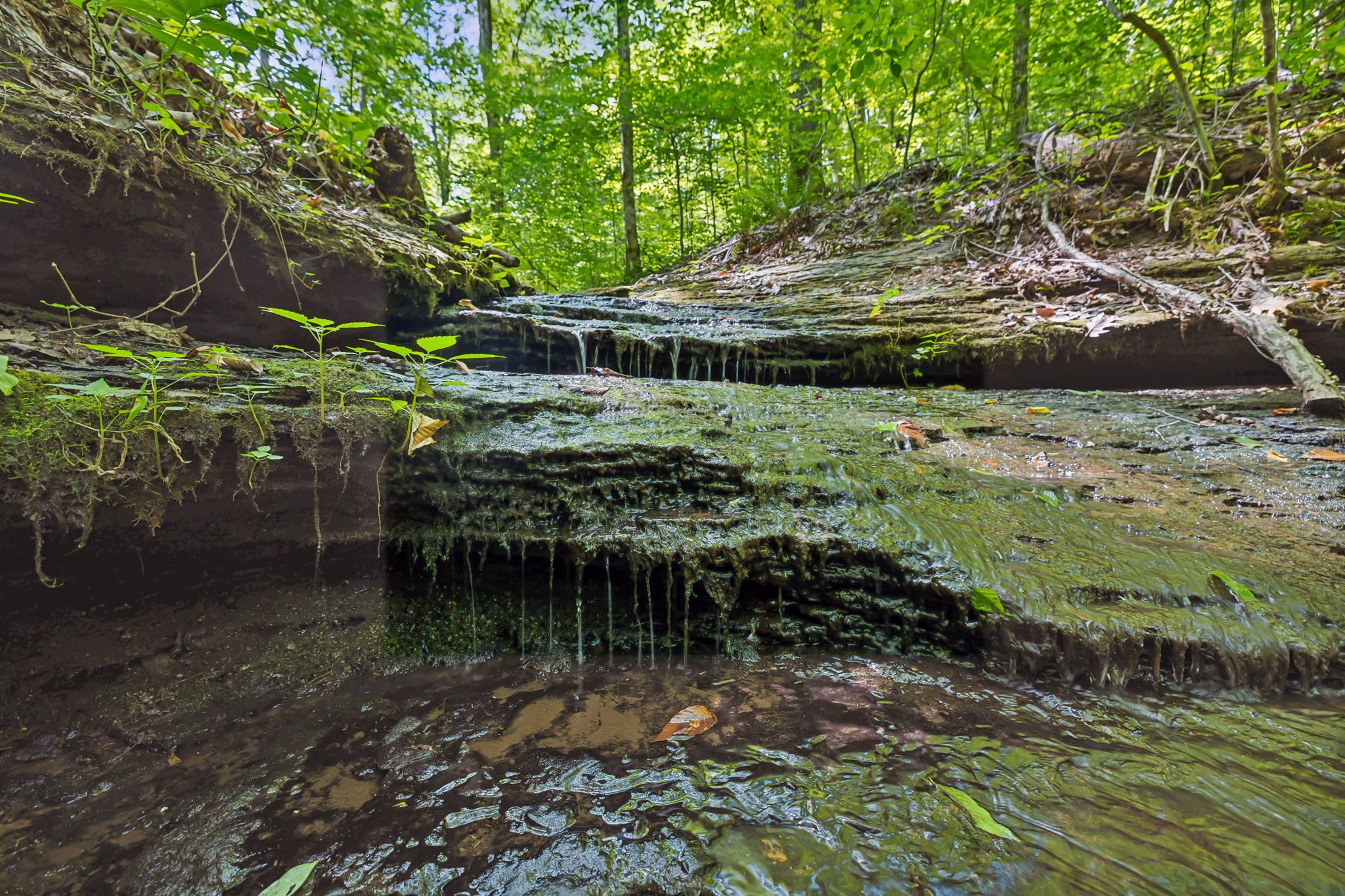 5755 North Lick Creek Road Franklin, TN 37064 - Photo 39 of 59
