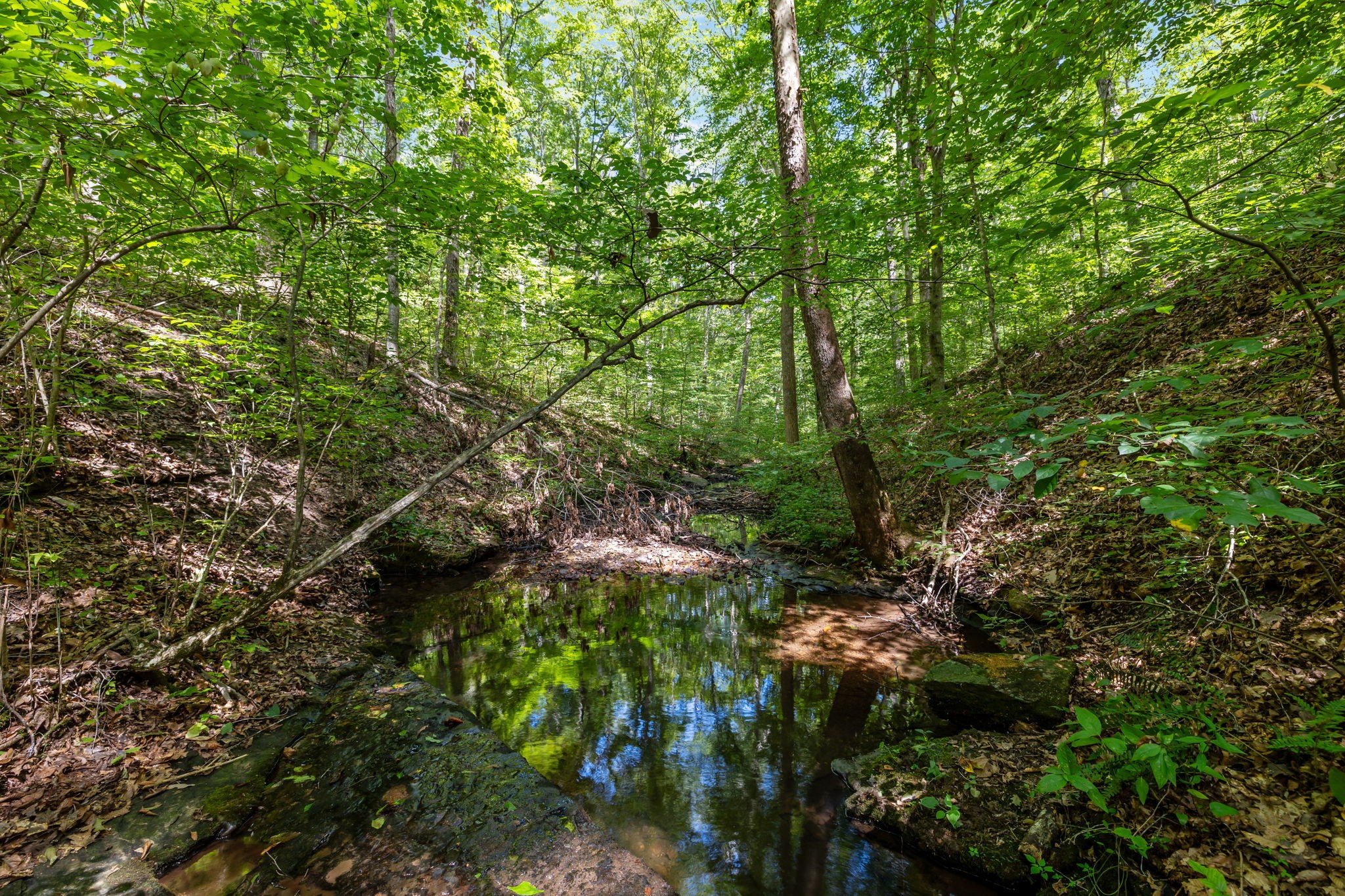 5755 North Lick Creek Road Franklin, TN 37064 - Photo 40 of 59