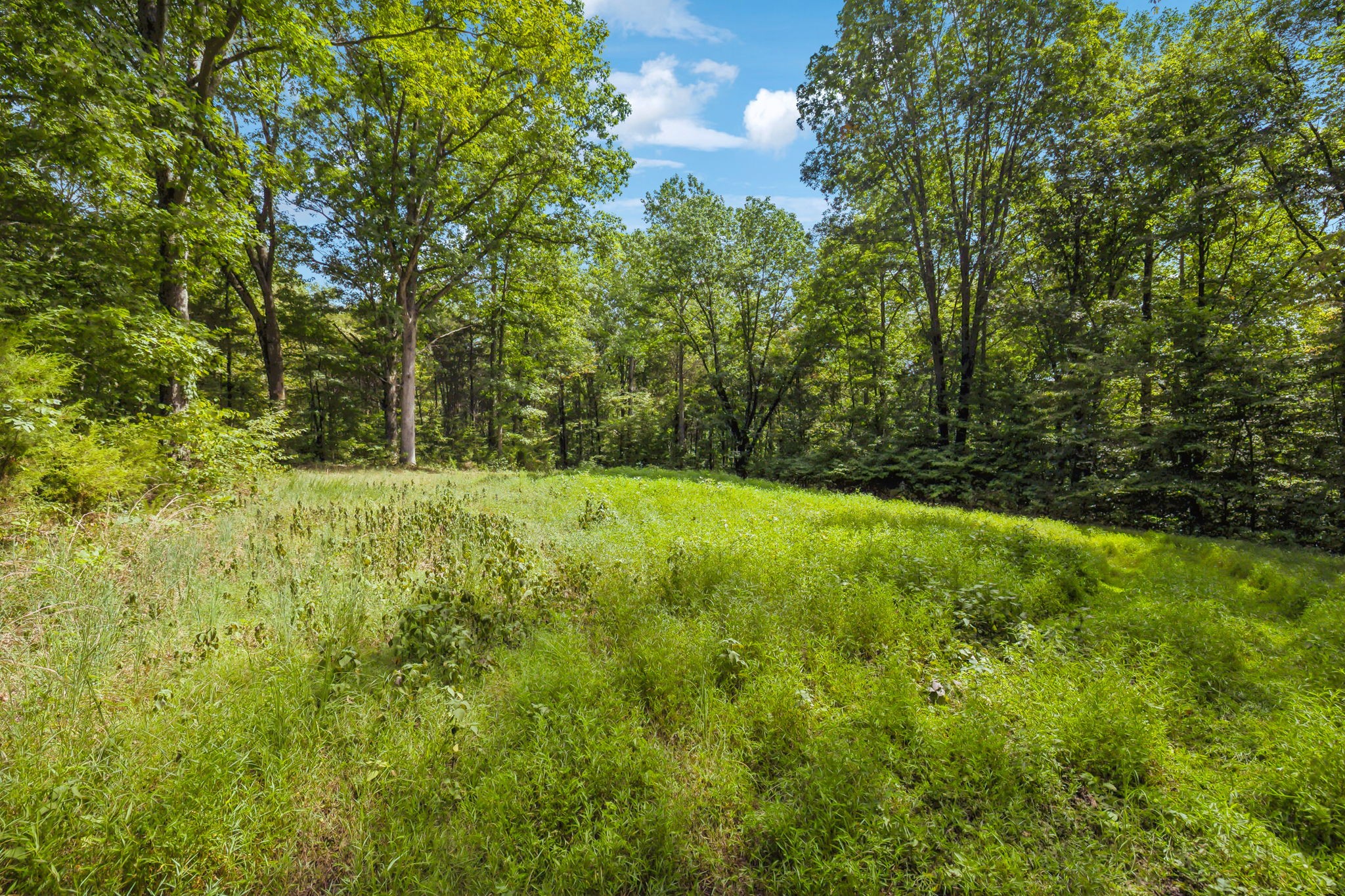 5755 North Lick Creek Road Franklin, TN 37064 - Photo 44 of 59