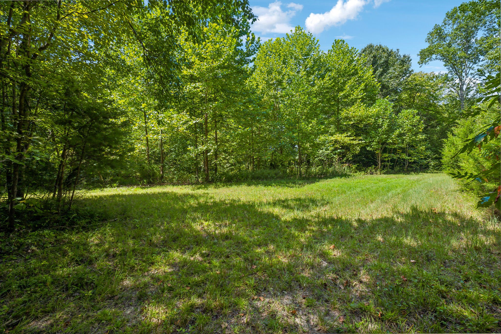 5755 North Lick Creek Road Franklin, TN 37064 - Photo 45 of 59