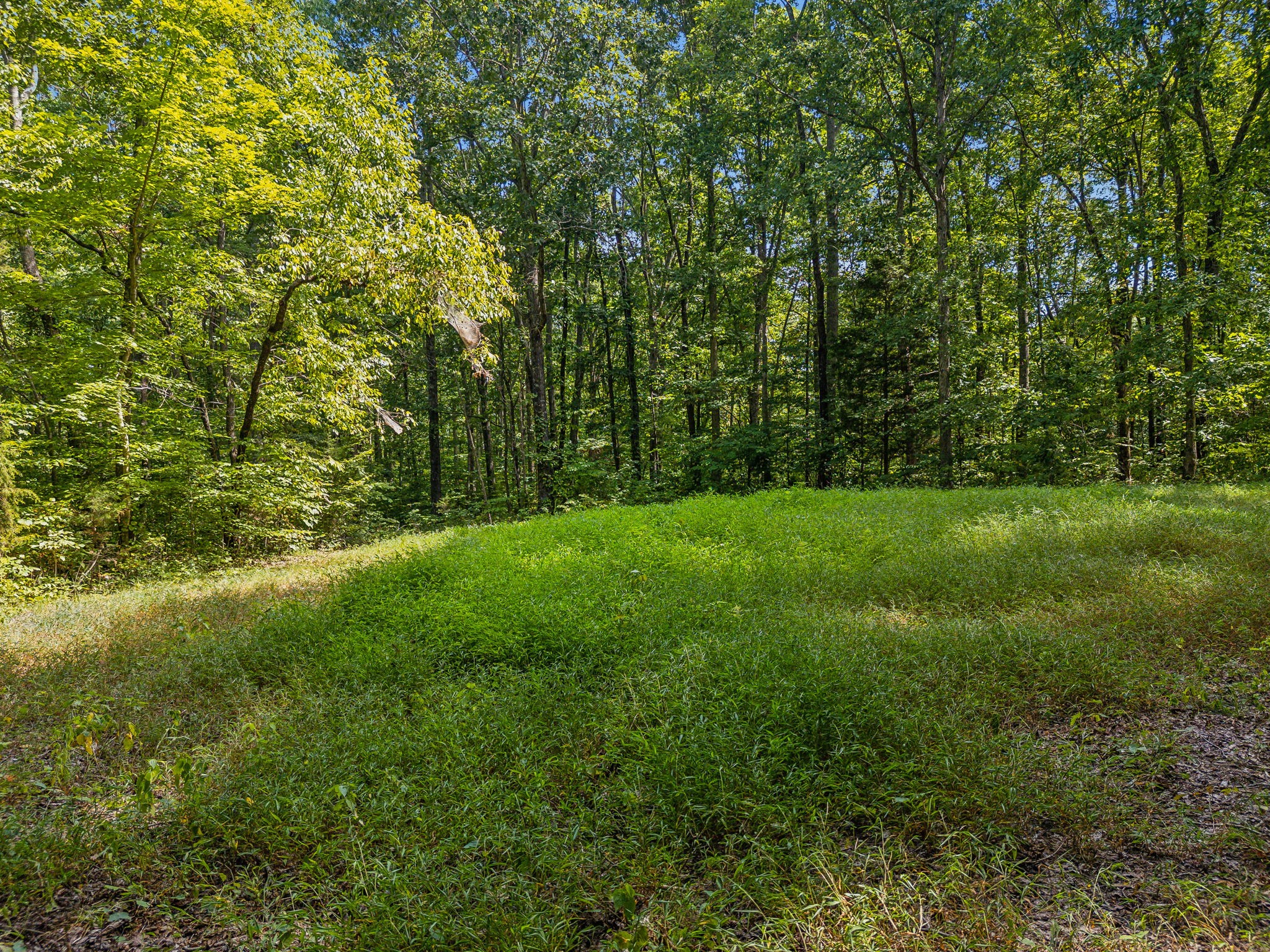 5755 North Lick Creek Road Franklin, TN 37064 - Photo 46 of 59