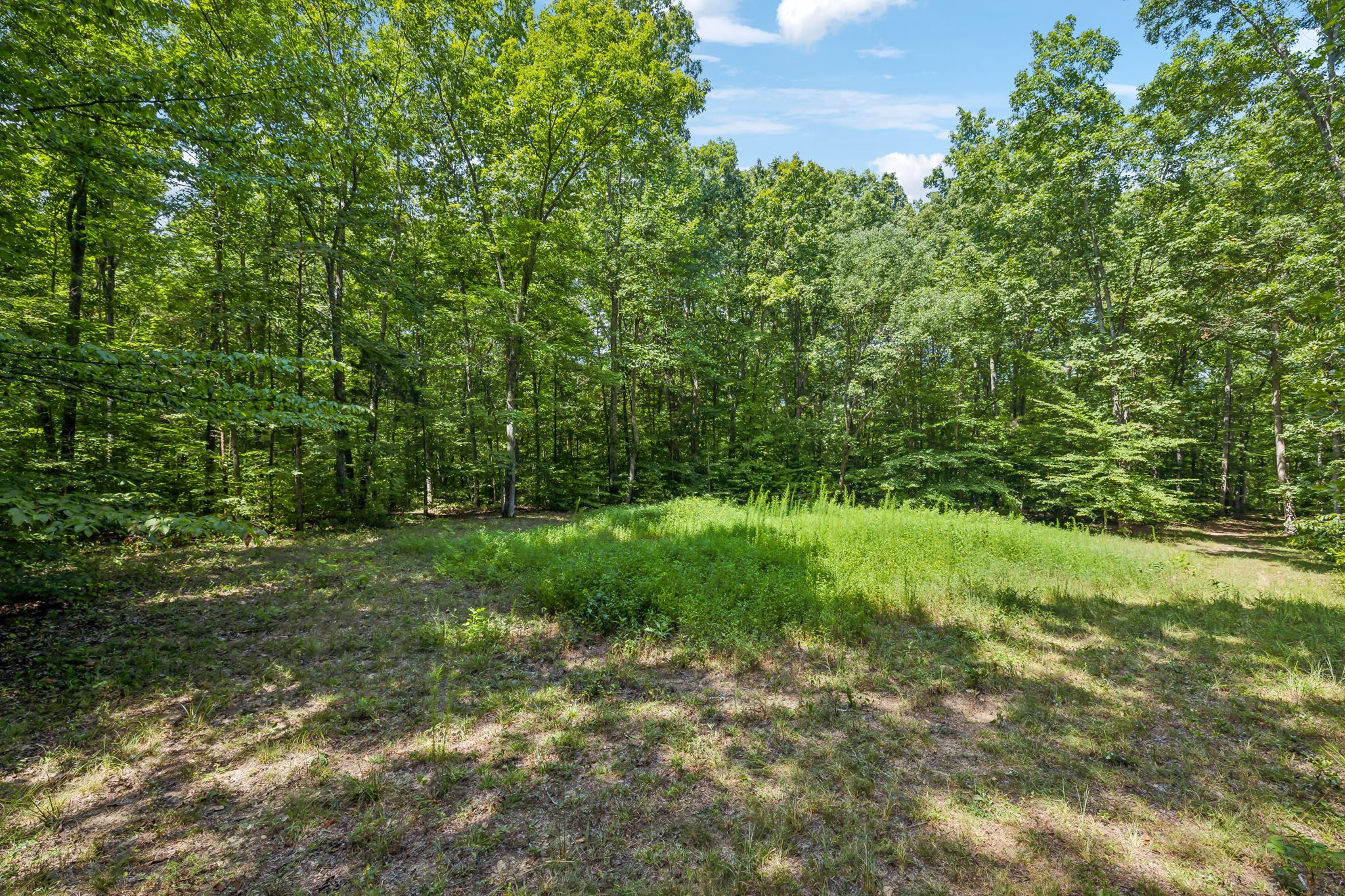 5755 North Lick Creek Road Franklin, TN 37064 - Photo 47 of 59