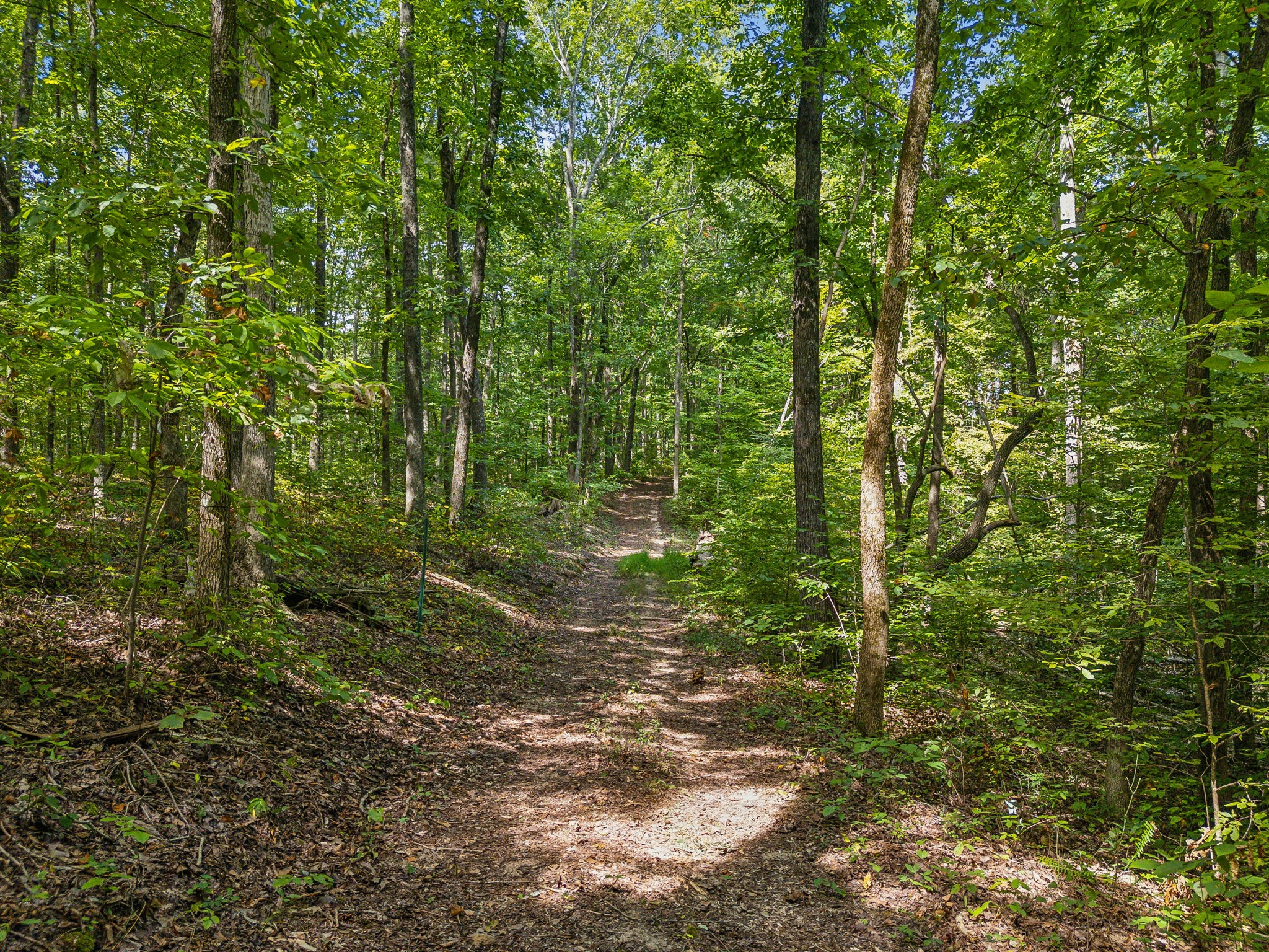 5755 North Lick Creek Road Franklin, TN 37064 - Photo 48 of 59