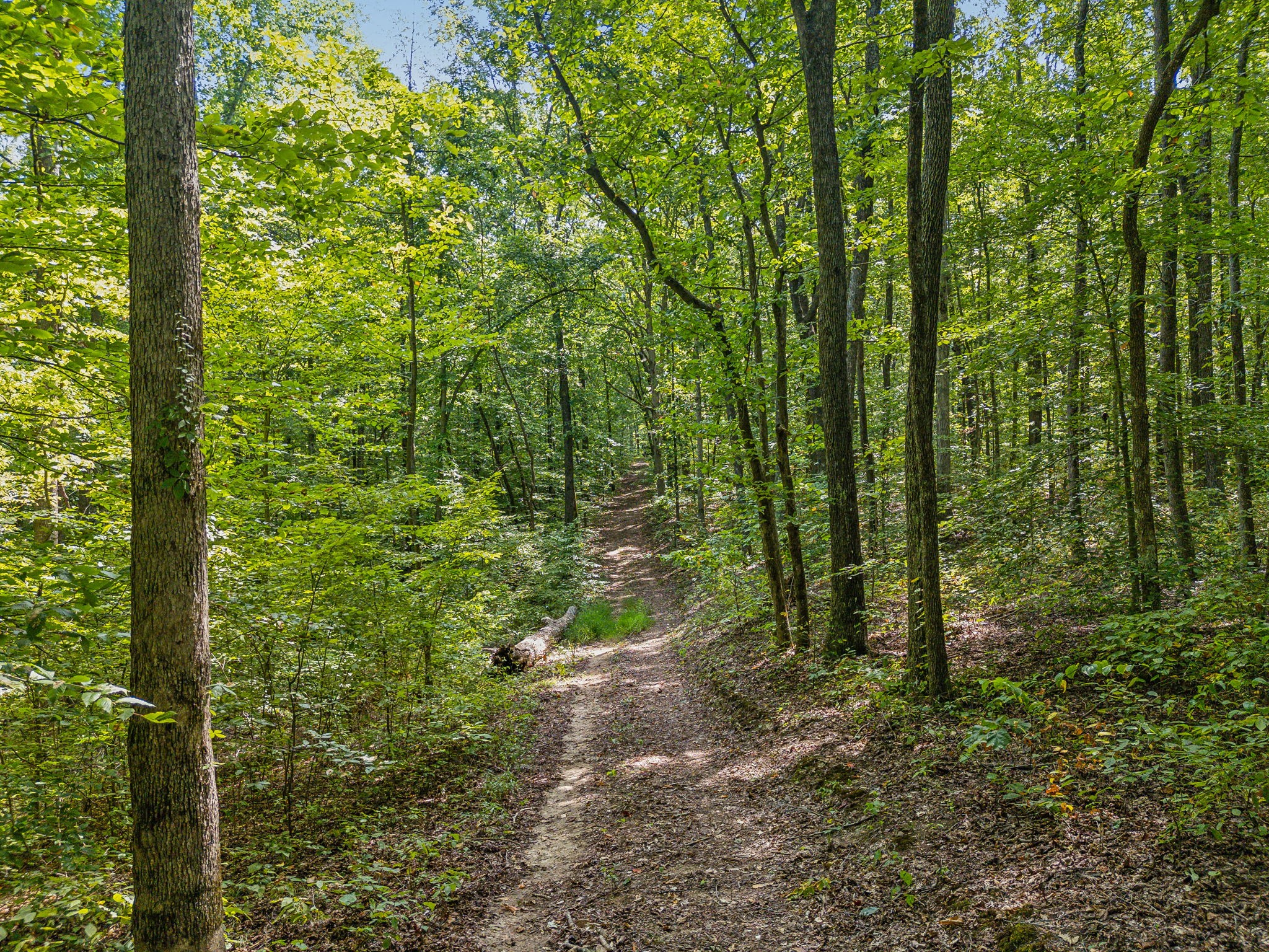 5755 North Lick Creek Road Franklin, TN 37064 - Photo 49 of 59