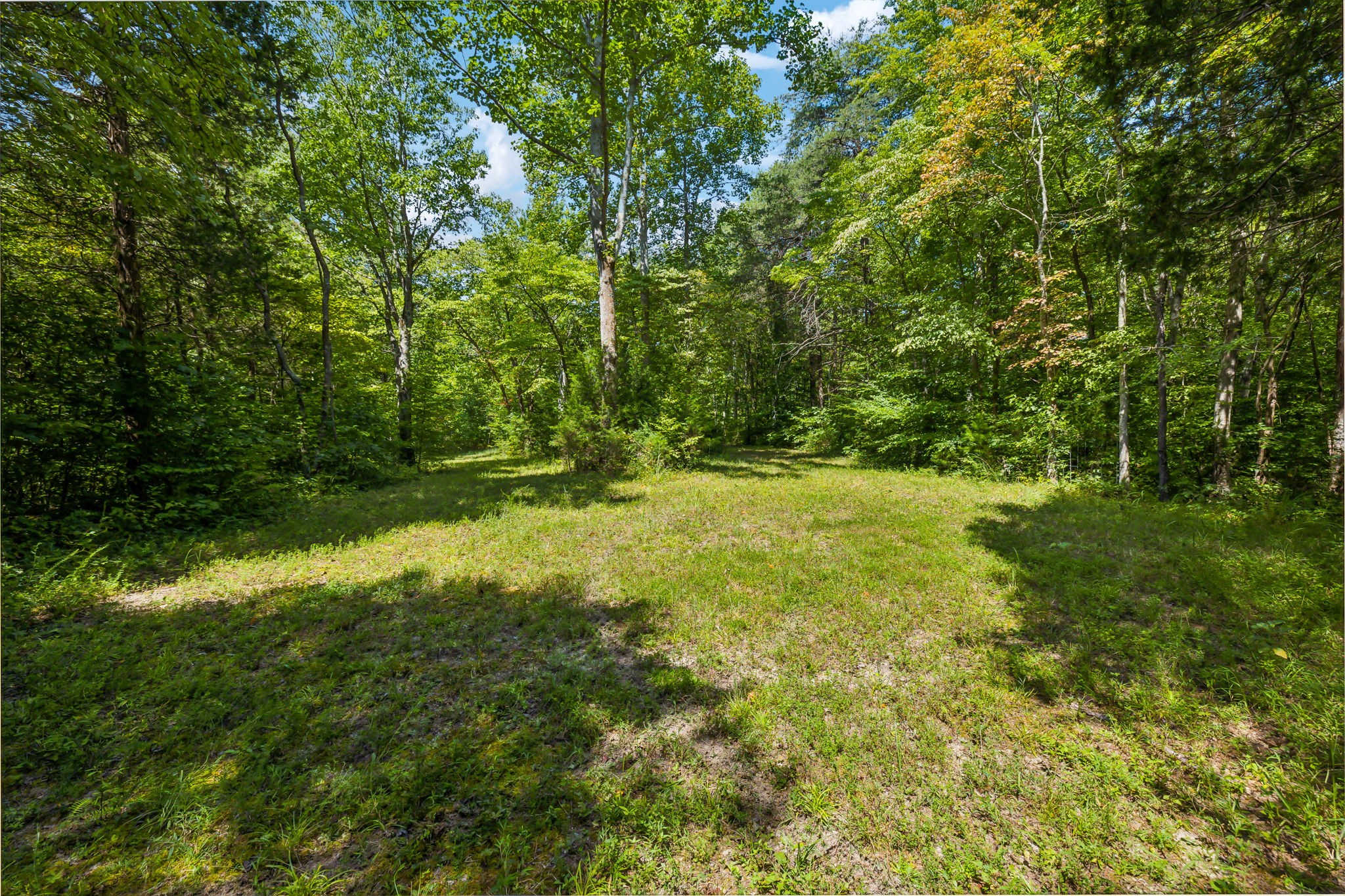 5755 North Lick Creek Road Franklin, TN 37064 - Photo 52 of 59