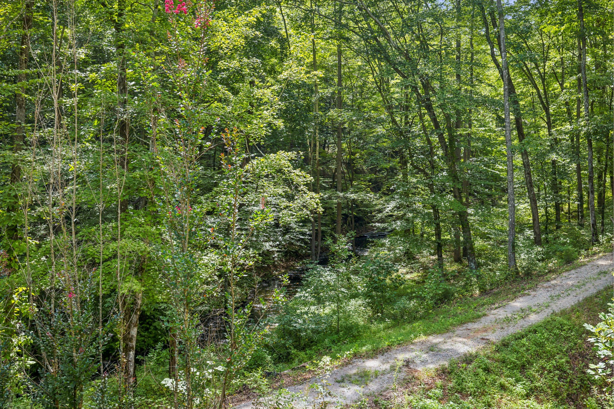 5755 North Lick Creek Road Franklin, TN 37064 - Photo 54 of 59