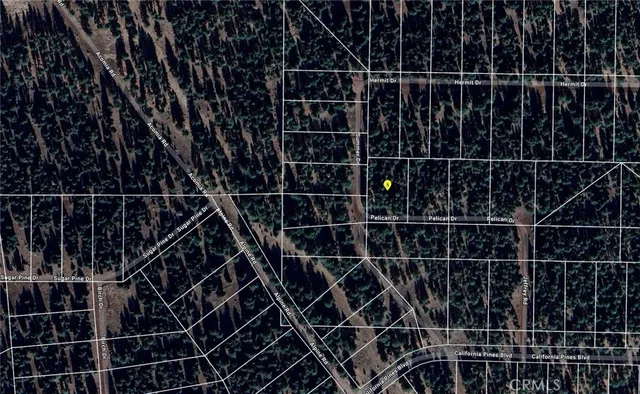 a close view of a black white checkered floor