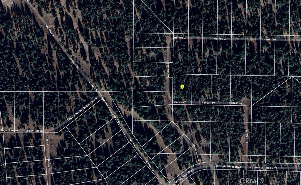 a close view of a black white checkered floor