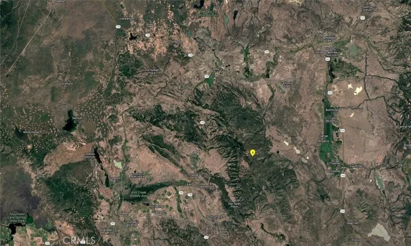 a view of a lush green forest