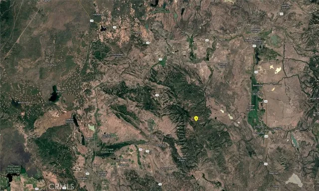 a view of a lush green forest