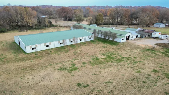 a view of a couches in a patio with a yard