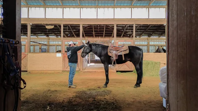 a room with lots of furniture and a window