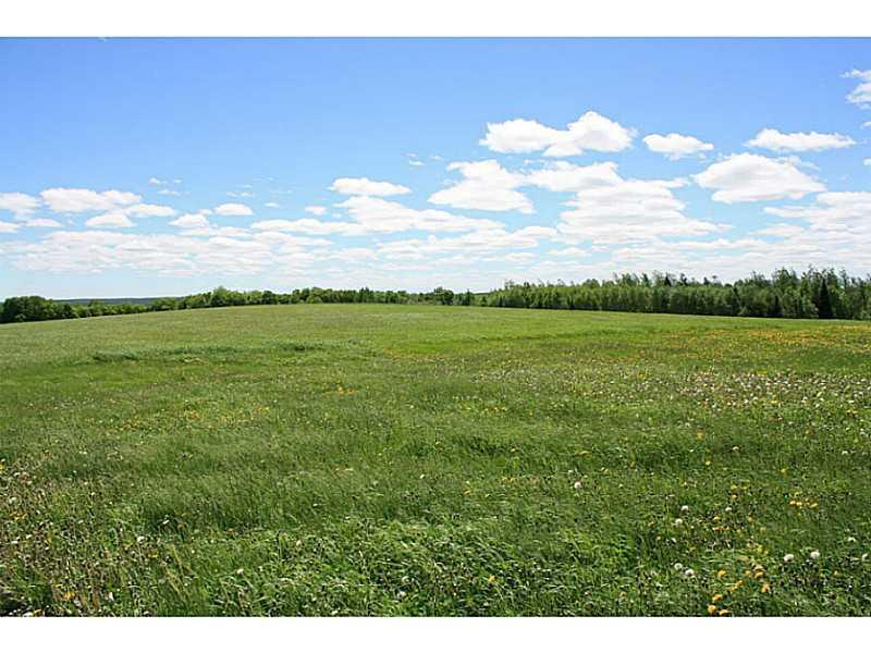 173 Conroy Road Perham, ME 04766 - Photo 28 of 32 Land.