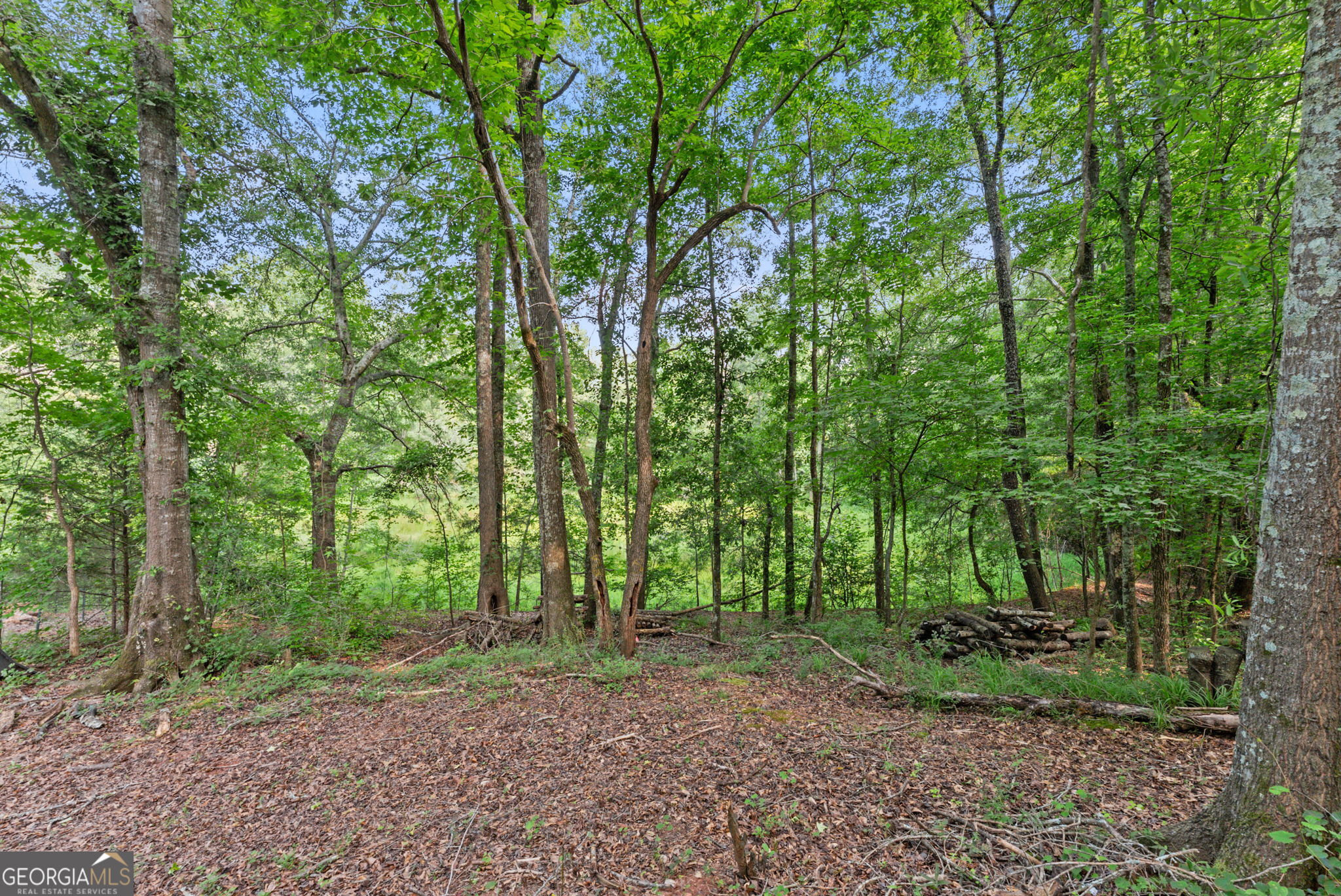 973 Floyd Road Danielsville, GA 30633 - Photo 56 of 64