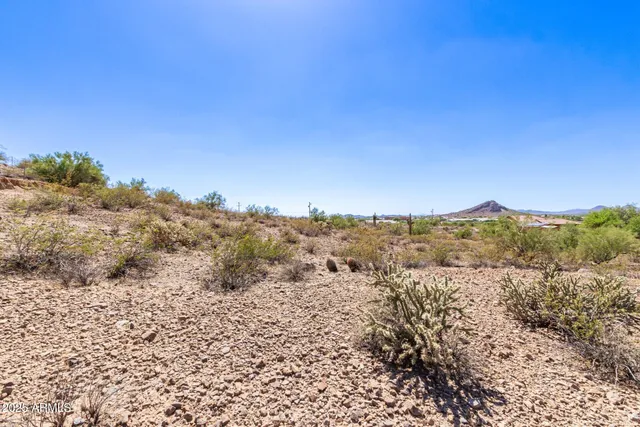 a view of a large building with a mountain in the background