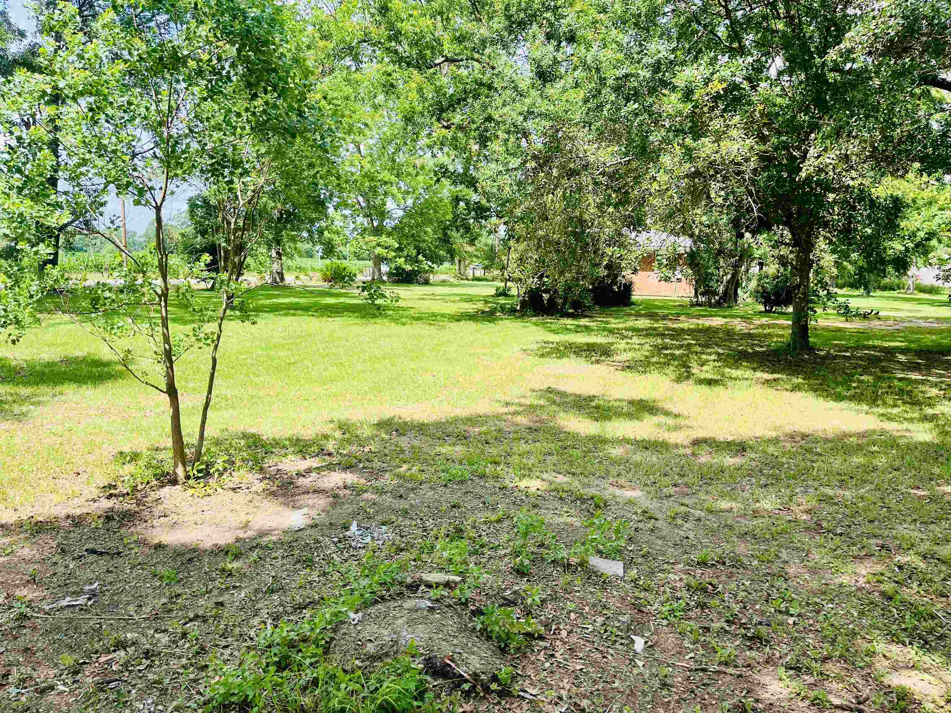 16799 Hinote Glass Road Loxley, AL 36551 - Photo 24 of 26 Yard