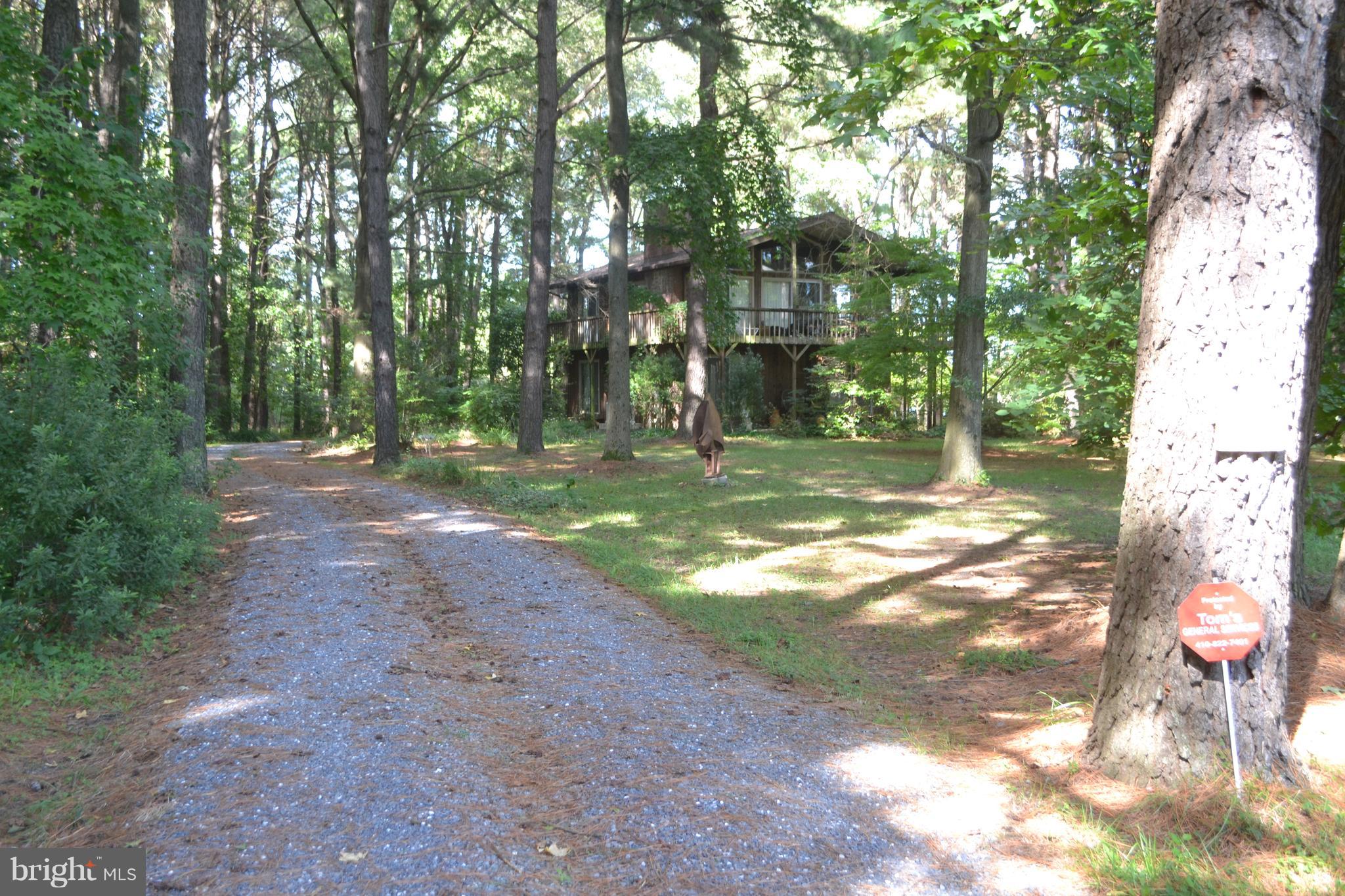 7223 Drum Point Road St. Michaels, MD 21663 - Photo 2 of 38 a view of a yard with trees in the background