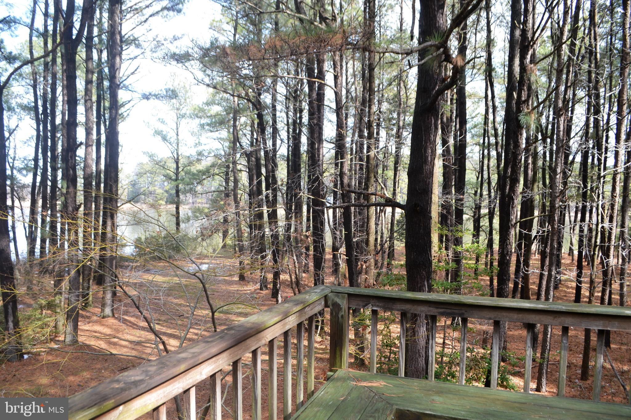 7223 Drum Point Road St. Michaels, MD 21663 - Photo 12 of 38 a view of a wooden deck with large trees
