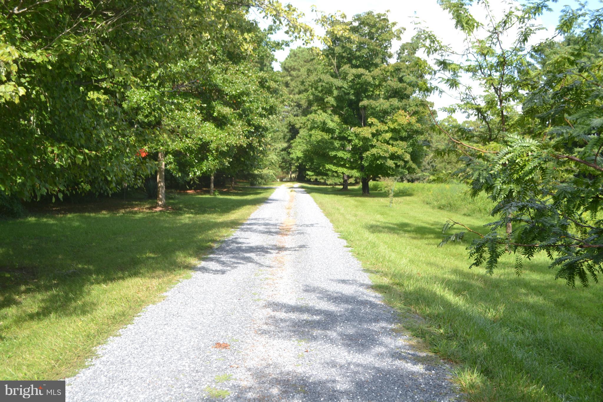 7223 Drum Point Road St. Michaels, MD 21663 - Photo 37 of 38 a view of a yard with plants and large trees