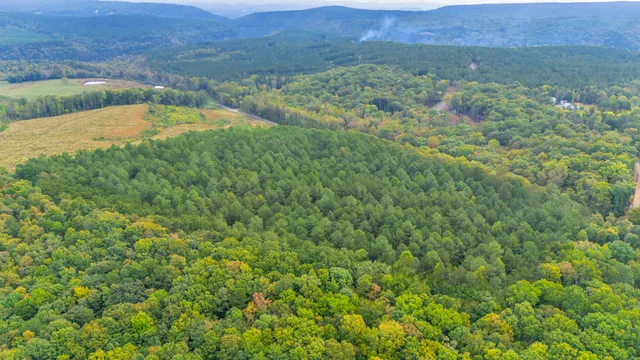 $425,000 | 11003 Worley Road, Soddy Daisy, TN 37379