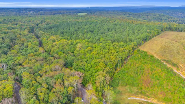 $425,000 | 11003 Worley Road, Soddy Daisy, TN 37379