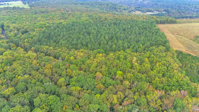 $425,000 | 11003 Worley Road, Soddy Daisy, TN 37379