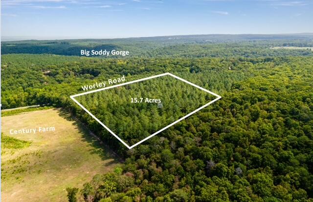 11003 Worley Road Soddy Daisy, TN 37379 - Photo 6 of 6 15.7 Acres