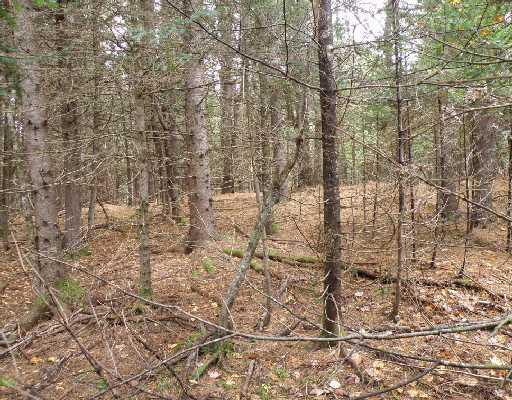 Lot 6 Cook Road Carmel, ME 04419 - Photo 4 of 4 Land.