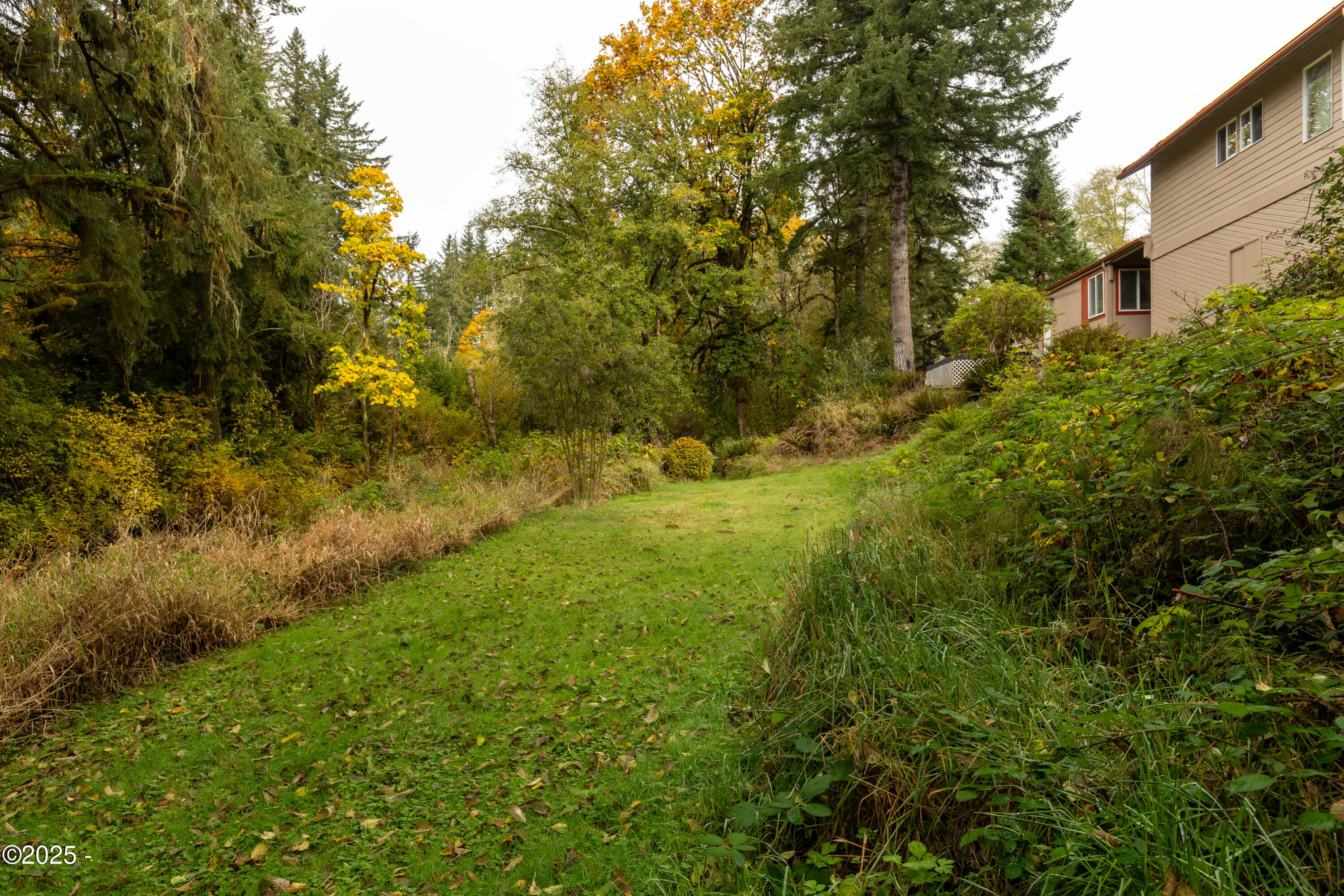 563 Moonshine Park Road Logsden, OR 97357 - Photo 47 of 60 563moonshine park-40