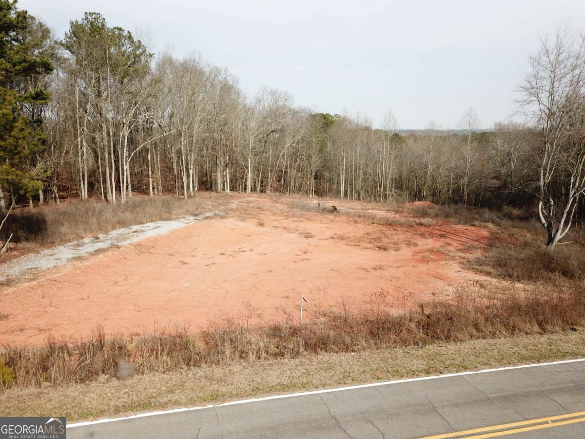 380 Ayers Road Bowdon, GA 30108 - Photo 2 of 5