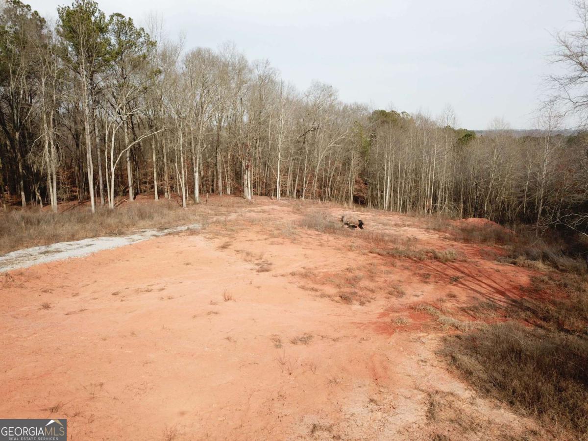 380 Ayers Road Bowdon, GA 30108 - Photo 3 of 5