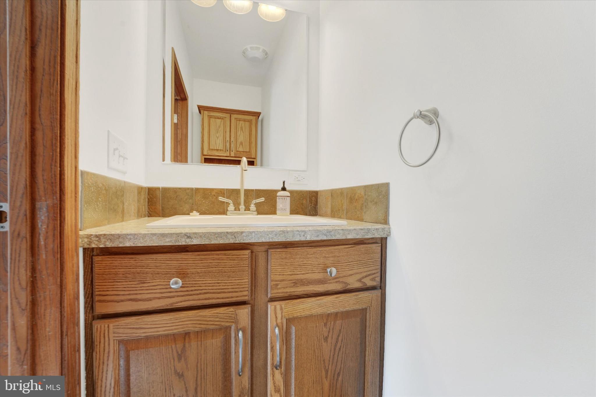 249 Floral Way Rising Sun, MD 21911 - Photo 35 of 65 a bathroom with a sink and a mirror