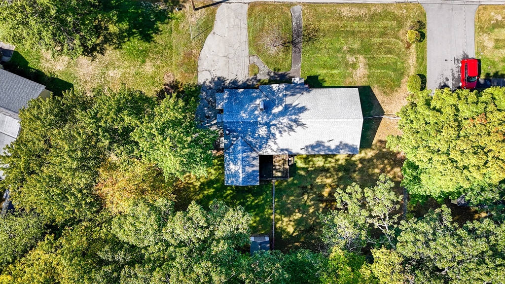 19 Reo Road Maynard, MA 01754 - Photo 40 of 41 a picture of flowers